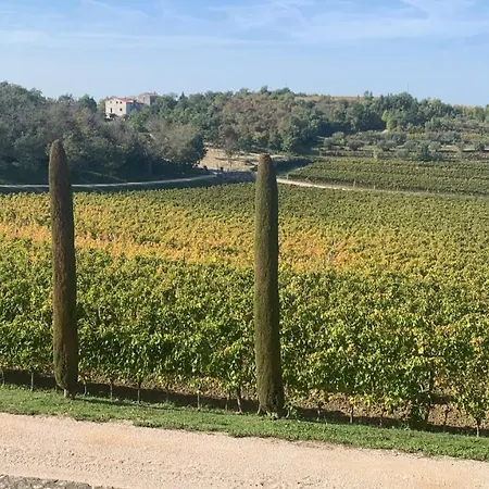 Vila Vila Romana Visnjan